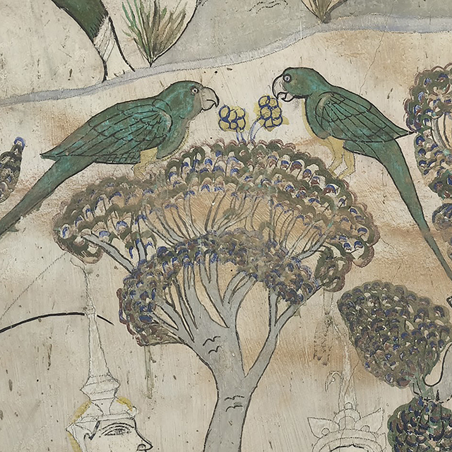 Hoop Tam (Mural Painting): Parrot
